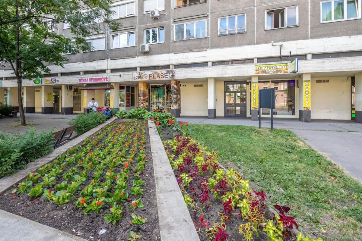 Cozy Quiet Apartment With A Balcony بودابست المظهر الخارجي الصورة